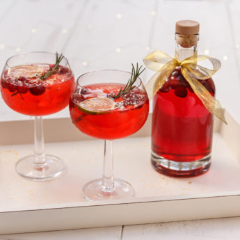 Cranberry Gingle & Tonic