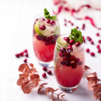 Cranberry Mojito