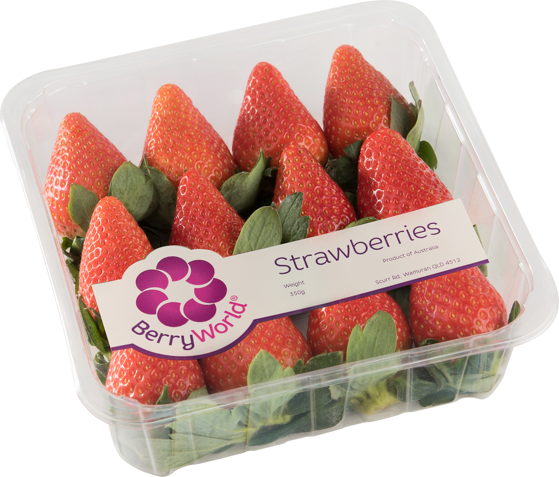 Strawberry Punnet