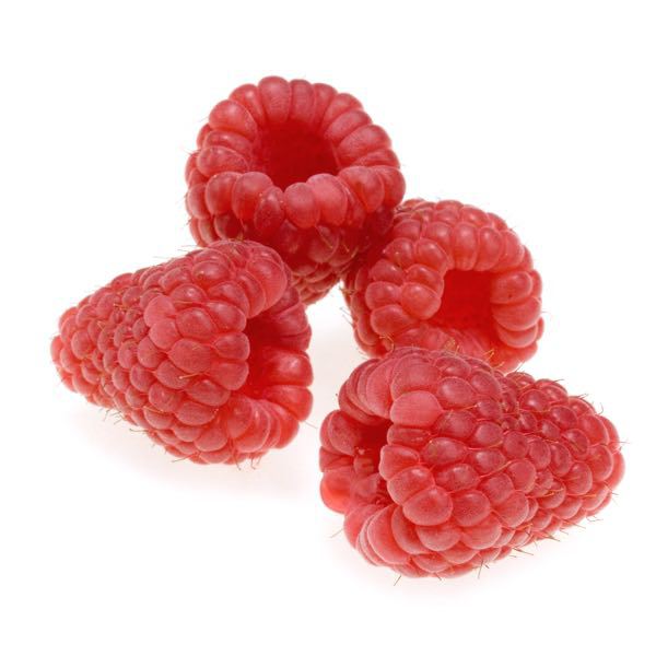 best berry recipes berryworld