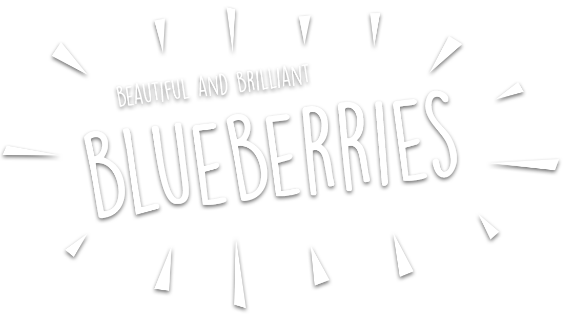 Blueberries Uk