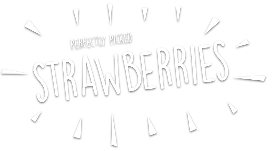 Strawberries Uk