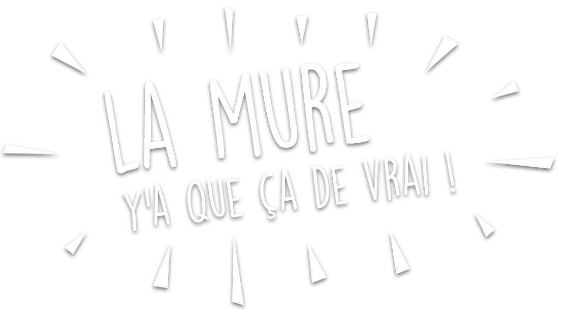 Mures Flare