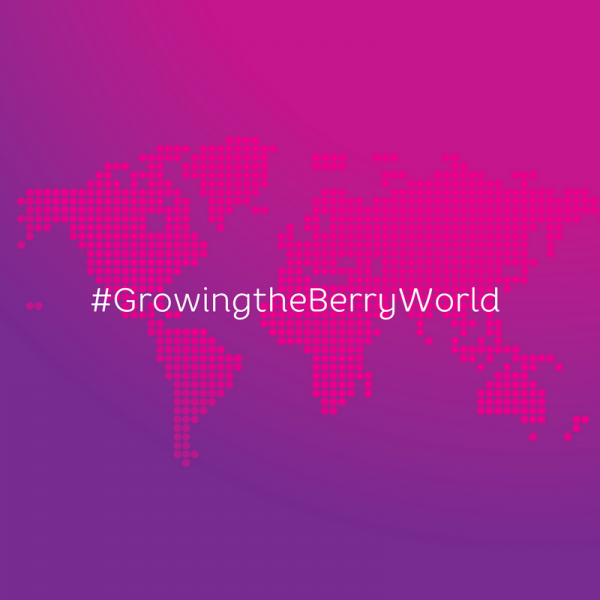 Growingthe Berry World Sq