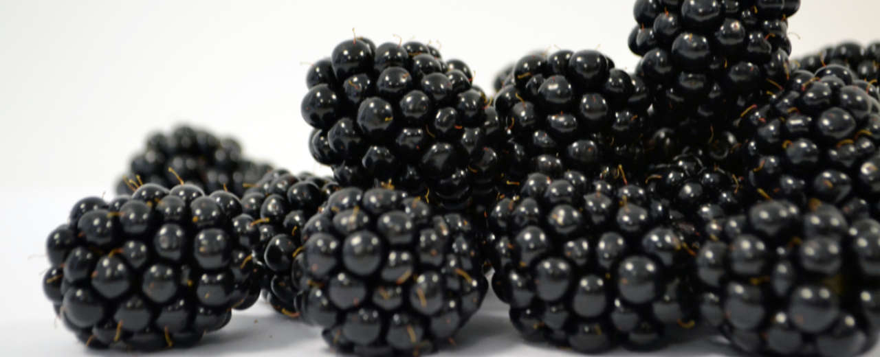 National Blackberry Day