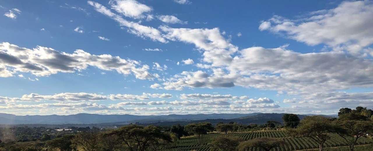 Trio of celebrations mark start of South Africa blueberry season