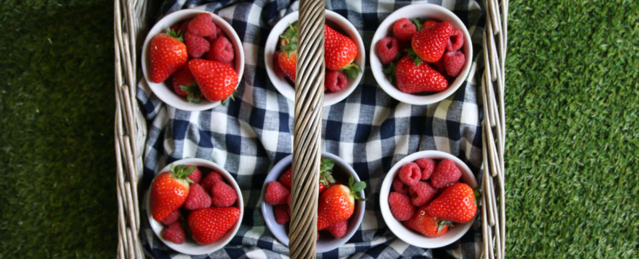 The perfect picnic