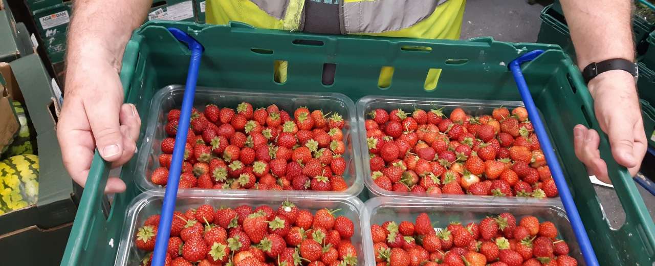 BerryWorld partners with FareShare over Christmas to provide the equivalent of 20,000 meals this winter