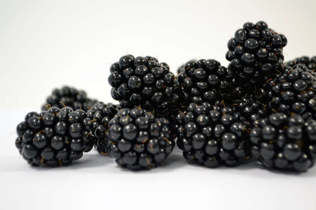 National Blackberry Day