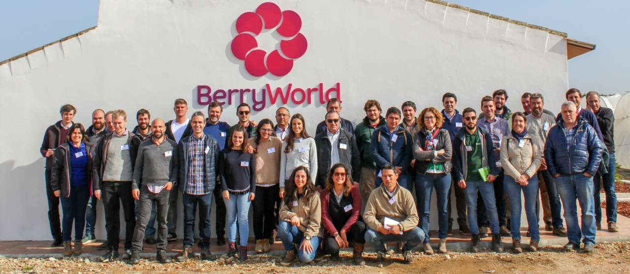 BerryWorld unite growers & ideas at R&D site