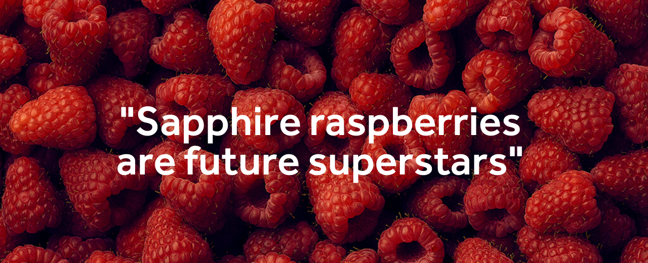 Marks & Spencer Select Sapphire Raspberries for TV Campaign