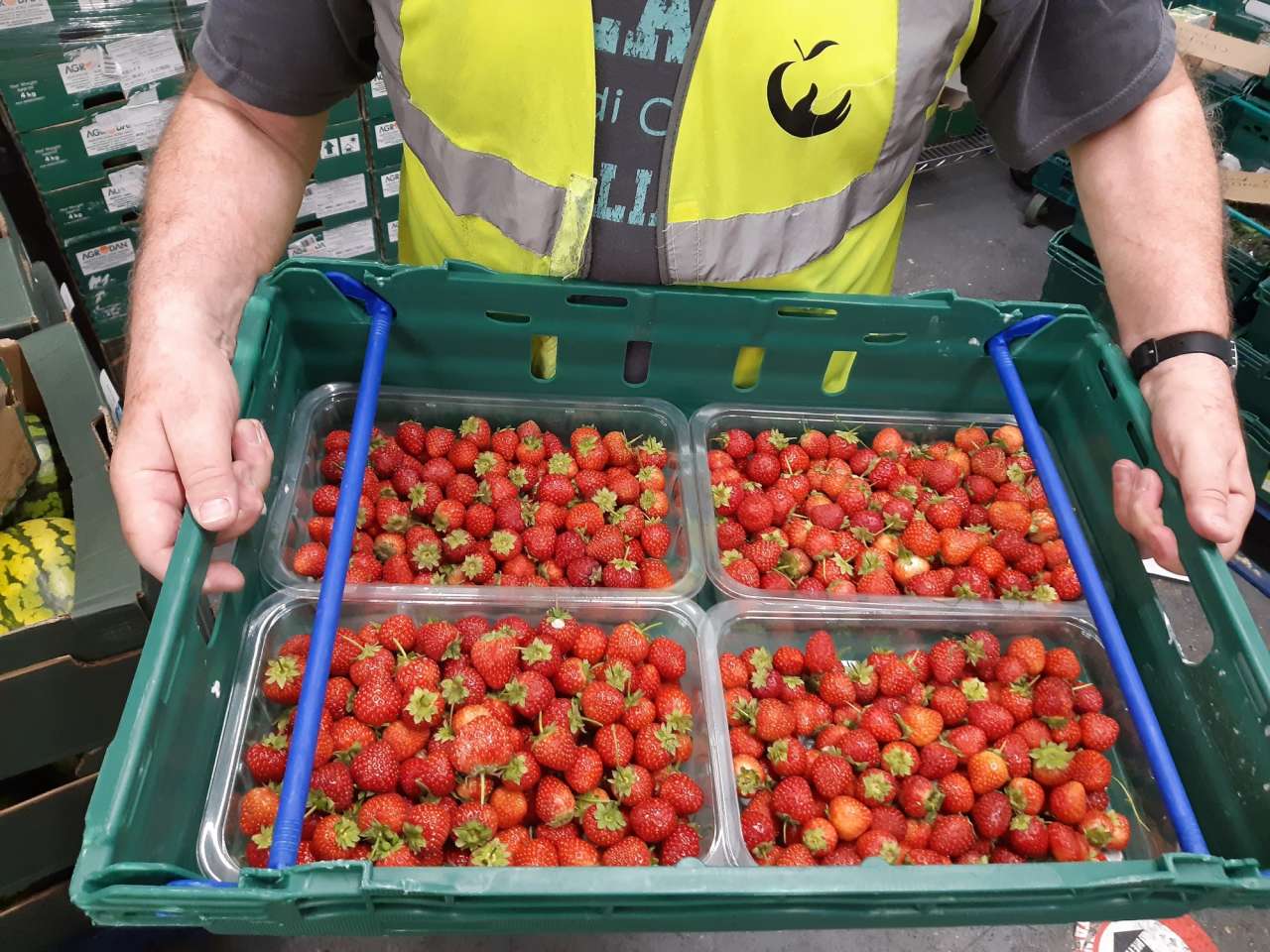 BerryWorld partners with FareShare over Christmas to provide the equivalent of 20,000 meals this winter