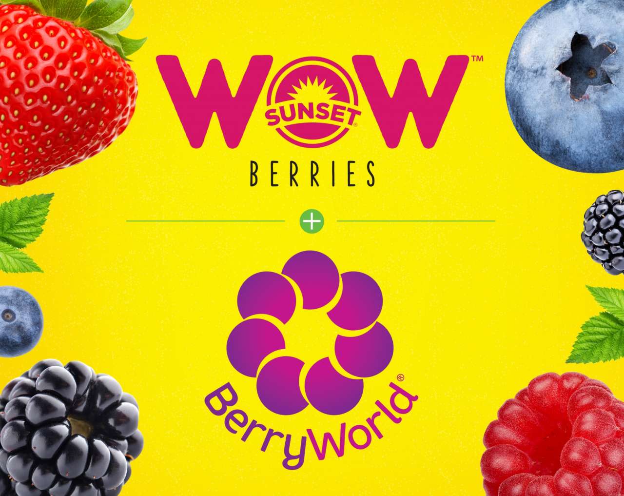 Meet BerryWorld & WOW™ Berries at PMA Fresh Summit