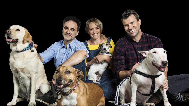 Animal Rescue Live