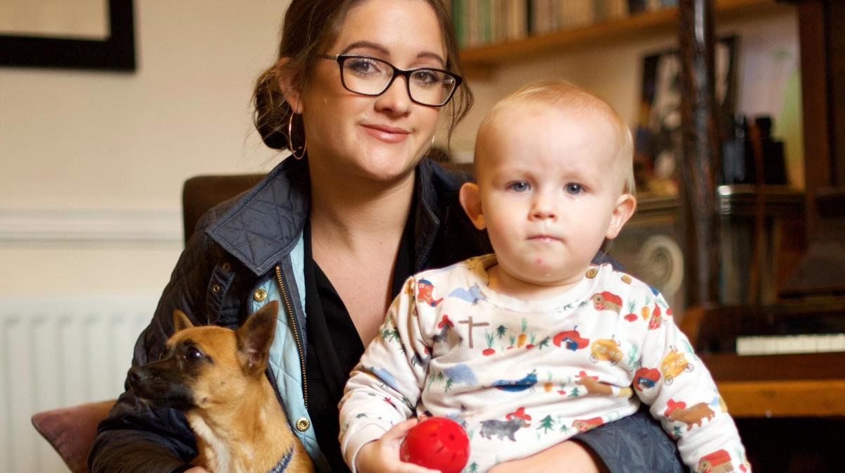 Train your Baby Like A Dog Train your Baby Like A Dog