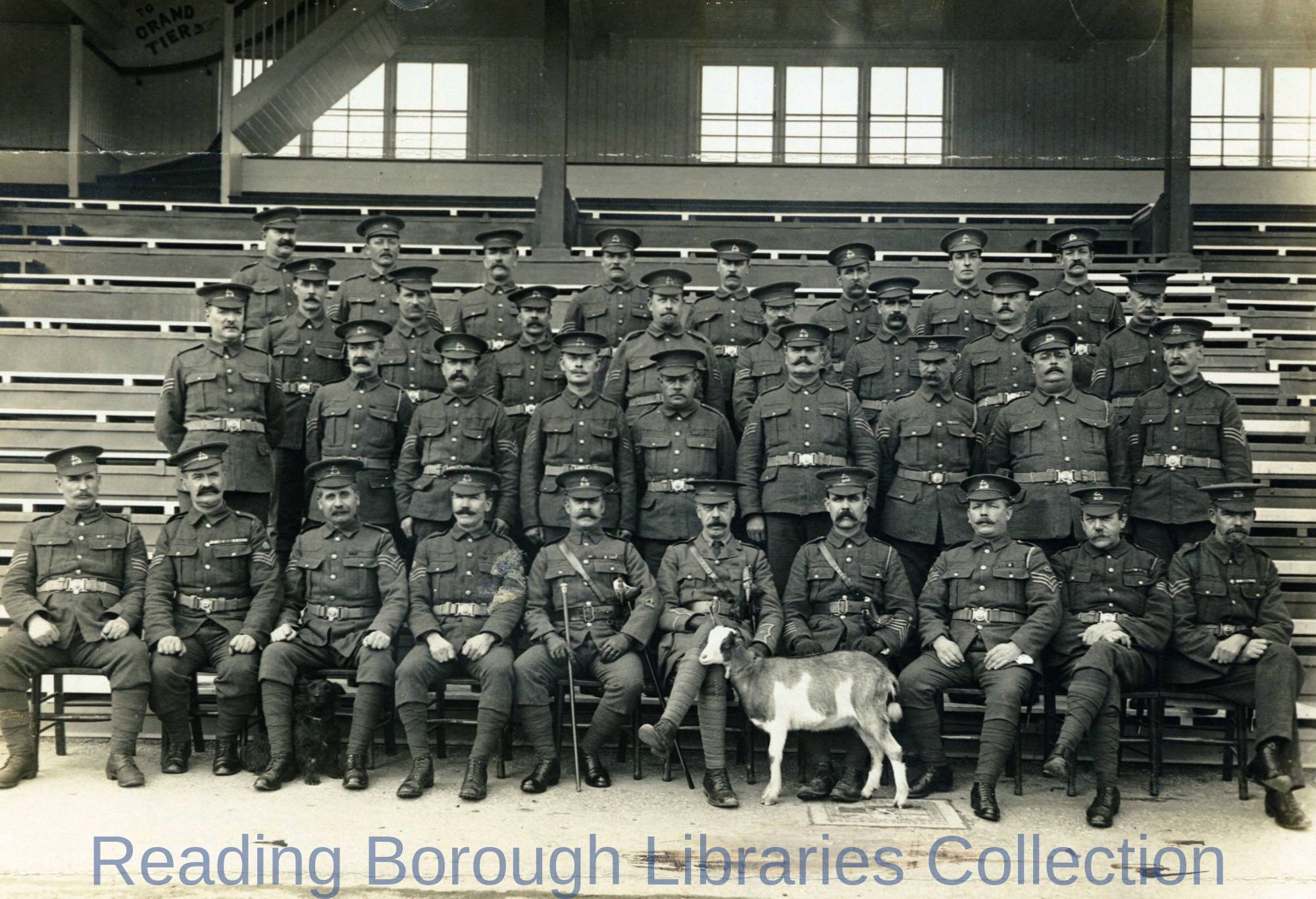 Sergeants and Regimental Pet Goat, National Reserve Prison Guard, Newbury Racecourse, 1914. Sergeants and Regimental Pet Goat, National Reserve Prison Guard, Newbury Racecourse, 1914.