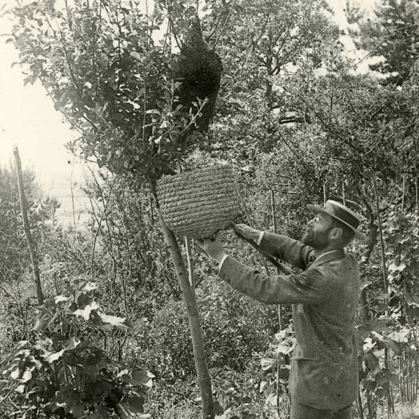 Alfred Watkins collection Herefordshire History