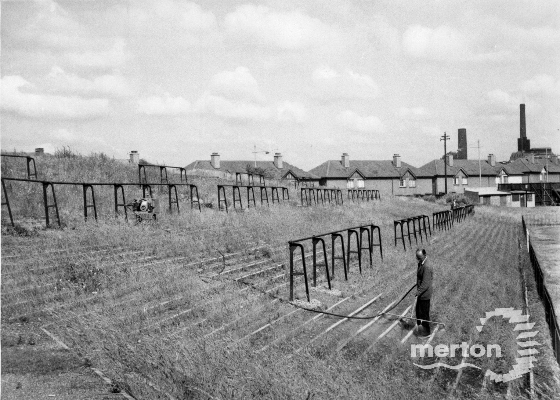 Football Terraces, Plough Lane, Wimbledon Merton Memories