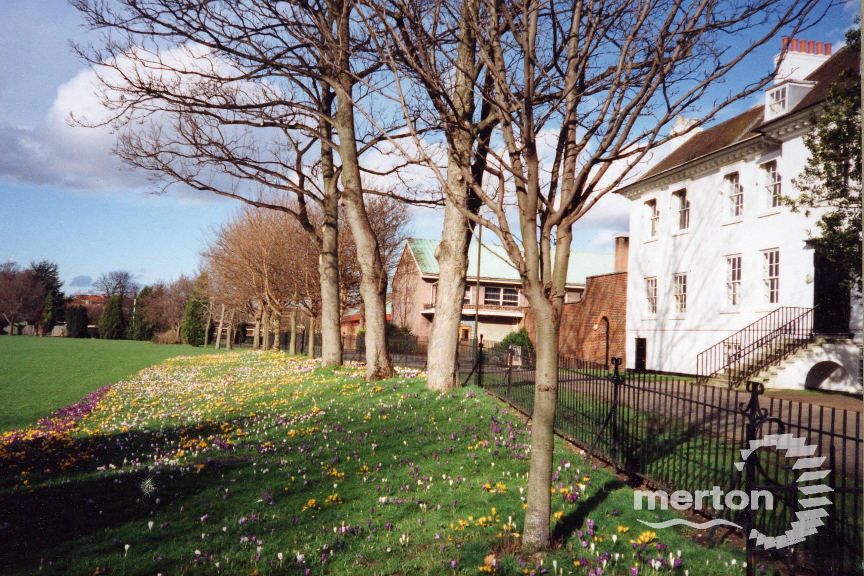 The Canons, Mitcham Display of crocuses Merton Memories Photographic