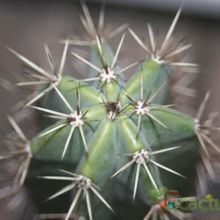 Fotografía tomada por JULECIAN Fotografía tomada por JULECIAN