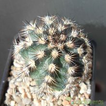 Fotografía tomada por Verito22 Fotografía tomada por Verito22