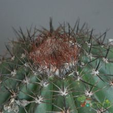 Fotografía tomada por afma Fotografía tomada por afma