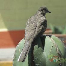 Fotografía tomada por biznago24 Fotografía tomada por biznago24