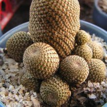 Fotografía tomada por cactusdiseno Fotografía tomada por cactusdiseno