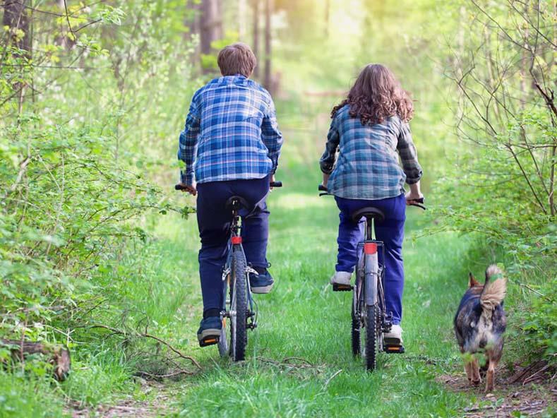 Lighthouse Leisure Caravan Park Caravans site