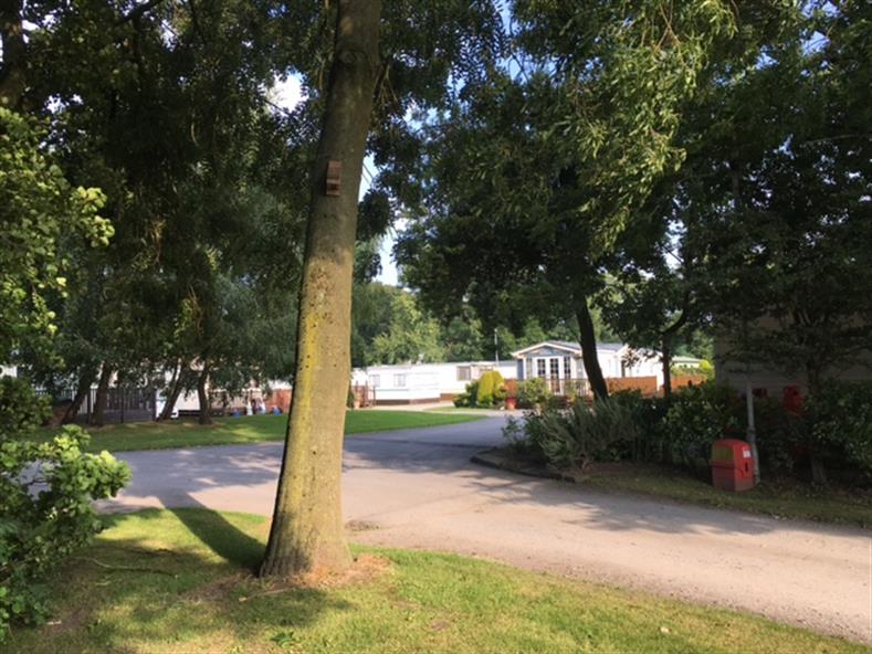 Primrose Bank Caravan Park Caravans site