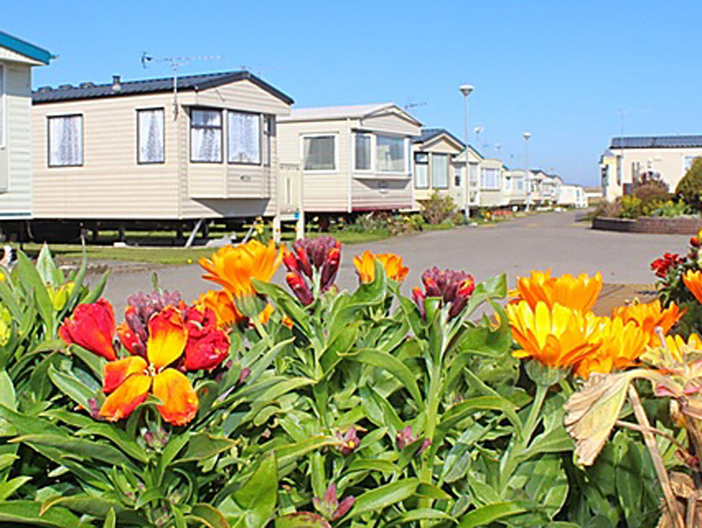 Abbeyford Holiday Park Caravans Website