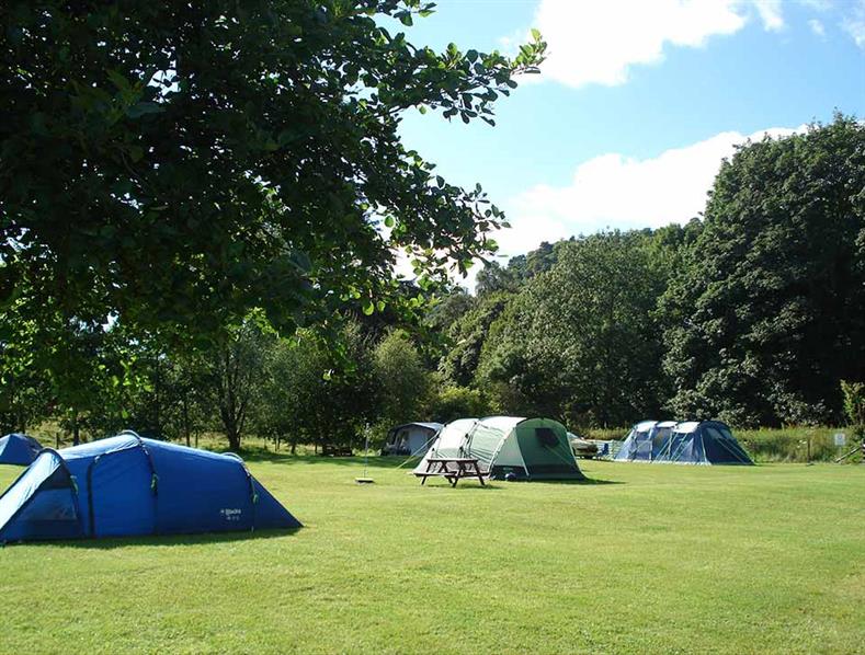 Witches Craig Caravan & Camping Park Caravans Website