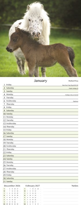 2027 Slim Month To View Spiral Bound Horse Photo Wall Calendar - Ponies 2027 Slim Month To View Spiral Bound Horse Photo Wall Calendar - Ponies