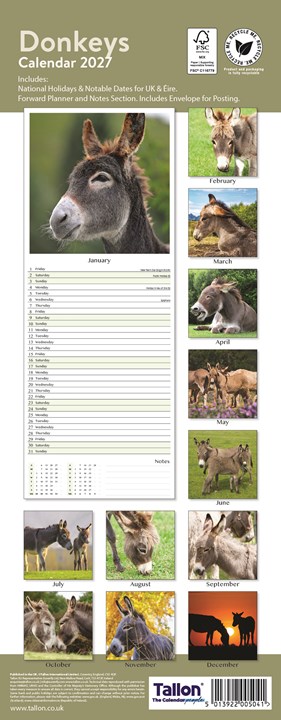 2027 Slim Month To View Spiral Bound Photo Wall Calendar - Donkeys 2027 Slim Month To View Spiral Bound Photo Wall Calendar - Donkeys