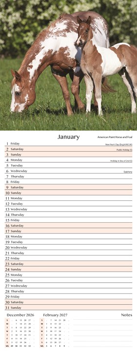 2027 Slim Month To View Spiral Bound Horse Photo Wall Calendar - Foals 2027 Slim Month To View Spiral Bound Horse Photo Wall Calendar - Foals