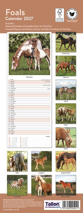2027 Slim Month To View Spiral Bound Horse Photo Wall Calendar - Foals 2027 Slim Month To View Spiral Bound Horse Photo Wall Calendar - Foals