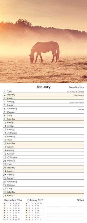 2027 Slim Month To View Spiral Bound Horse Photo Wall Calendar - Horses 2027 Slim Month To View Spiral Bound Horse Photo Wall Calendar - Horses