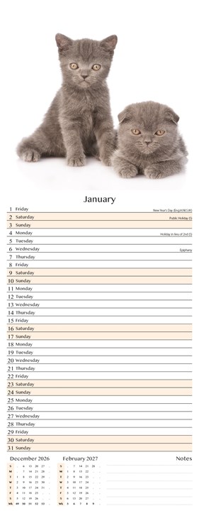 2027 Slim Month To View Spiral Bound Cat Photo Wall Calendar - Cats 2027 Slim Month To View Spiral Bound Cat Photo Wall Calendar - Cats