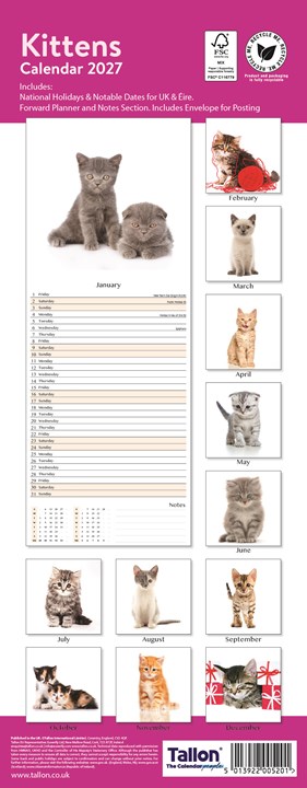 2027 Slim Month To View Spiral Bound Cats Photo Wall Calendar - Kittens 2027 Slim Month To View Spiral Bound Cats Photo Wall Calendar - Kittens
