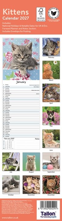 2027 Super Slim Month To View Spiral Bound Animal Photo Wall Calendar - Kittens 2027 Super Slim Month To View Spiral Bound Animal Photo Wall Calendar - Kittens