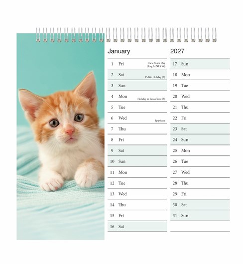 2027 Spiral Bound Wiro Flip Desk Top Cat Photo Calendar - Cute Kittens 2027 Spiral Bound Wiro Flip Desk Top Cat Photo Calendar - Cute Kittens
