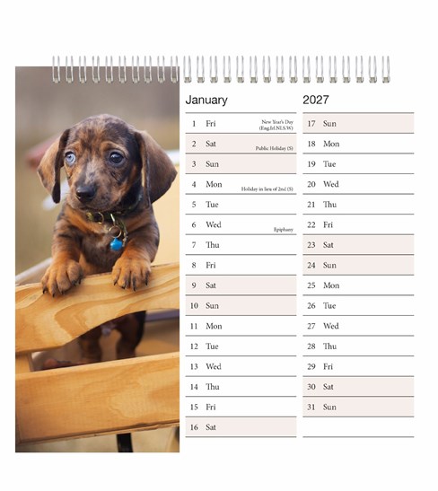 2027 Spiral Bound Wiro Flip Desk Top Dog Photo Calendar - Cute Puppies 2027 Spiral Bound Wiro Flip Desk Top Dog Photo Calendar - Cute Puppies