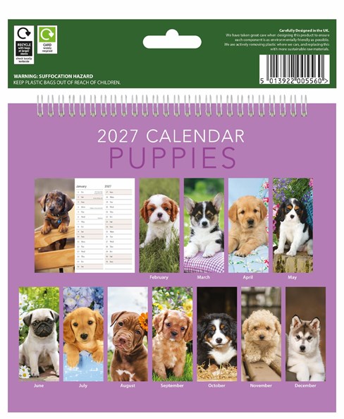 2027 Spiral Bound Wiro Flip Desk Top Dog Photo Calendar - Cute Puppies 2027 Spiral Bound Wiro Flip Desk Top Dog Photo Calendar - Cute Puppies