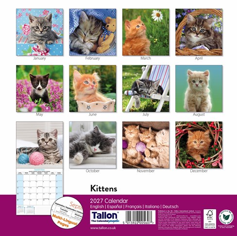 2027 Square Month To View Animal Cat Photo Wall Calendar - Kittens 2027 Square Month To View Animal Cat Photo Wall Calendar - Kittens