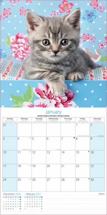 2027 Square Month To View Animal Cat Photo Wall Calendar - Kittens 2027 Square Month To View Animal Cat Photo Wall Calendar - Kittens