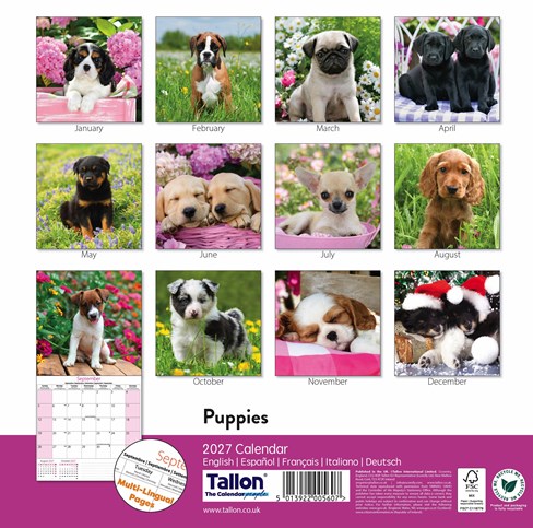 2027 Square Month To View Animal Dog Photo Wall Calendar - Puppies 2027 Square Month To View Animal Dog Photo Wall Calendar - Puppies