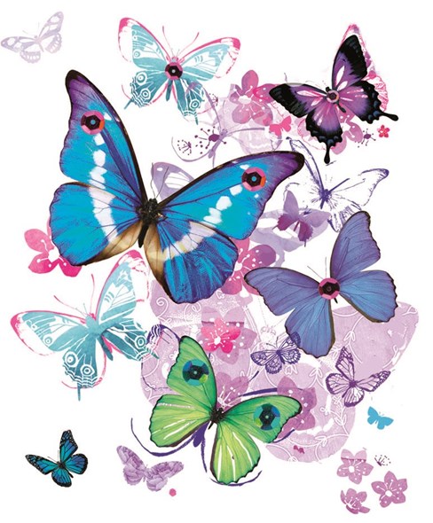 Traditional Female Wrapping Paper & 1 Sheet & Matching Gift Tag - Butterflies Traditional Female Wrapping Paper & 1 Sheet & Matching Gift Tag - Butterflies