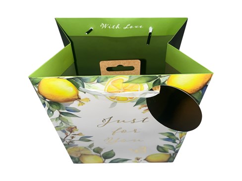 Medium Gift Bag - Just For You Lemons and Butterflies with Gold Foil Tag 10x8.5"