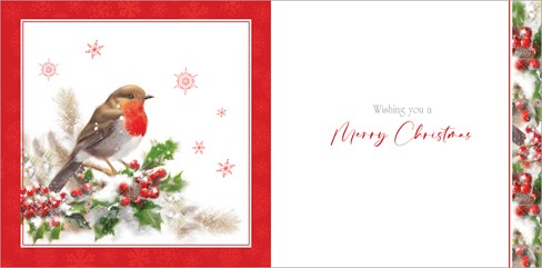 Box Of 12 Scenic Premium Inserted Christmas Cards - Robin on Holly Branch Foil Box Of 12 Scenic Premium Inserted Christmas Cards - Robin on Holly Branch Foil