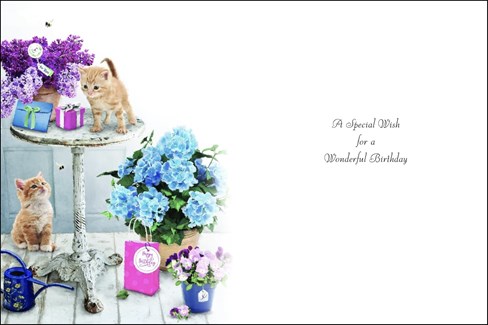 Jonny Javelin Female Birthday Card - Ginger Kittens Blue Lilac Flowers 7.25x5.5" Jonny Javelin Female Birthday Card - Ginger Kittens Blue Lilac Flowers 7.25x5.5"